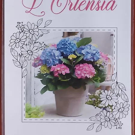 L' Ortensia 아파트 로마